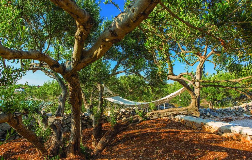 Luxury Villa Vela Rina Drvenik Mali Zewnętrze zdjęcie